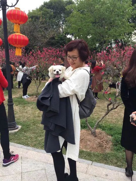 58歲的她，自駕房車旅居，一人兩犬，活成了自己喜歡的樣子